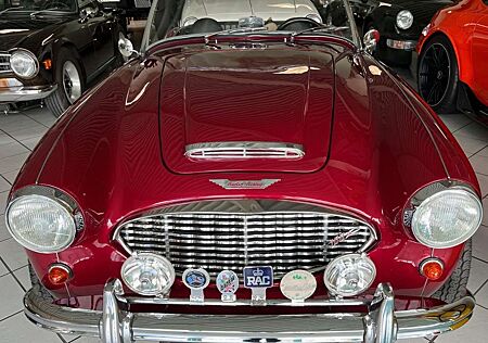 Austin-Healey 100 -six BN4 Roadster im Topzustand