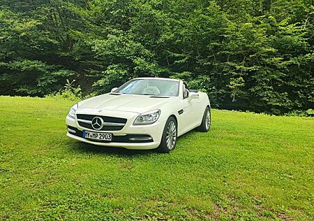 Mercedes-Benz SLK 200 (BlueEFFICIENCY) 7G-TRONIC CarbonLOOK Edit