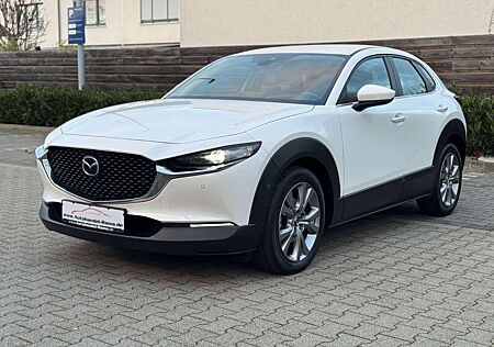 Mazda CX-3 0 Selection 2WD Navi Kamera Xenon LED PDC