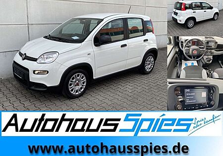 Fiat Panda 1.0 Mild Hybrid Base Klima DAB