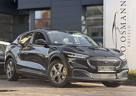 Ford Mustang gebraucht kaufen Ford Mustang ACC LED DAB 360°Kam.