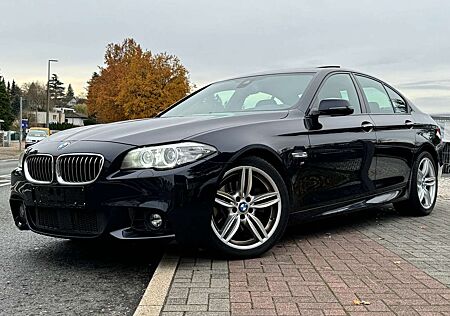 BMW 520d 520 3x M Paket M Performance Schiebedach Leder