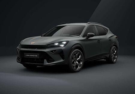 Cupra Formentor 2.0 TSI 4Drive DSG MATT AHK Edge-Pkt SHZ ACC LED