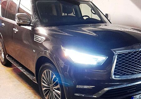 Infiniti QX80 ProActive Ultra-luxuriösen Voll