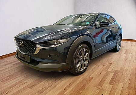 Mazda CX-30 2.5 Exclusive AUTOMATIK Bose, Matrix, 360°, Navi,