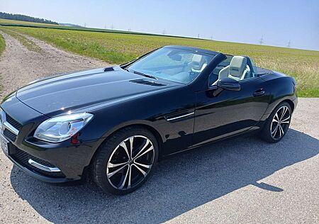 Mercedes-Benz SLK 200 (BlueEFFICIENCY)