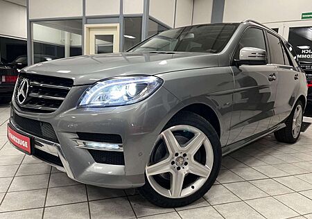 Mercedes-Benz ML 250 CDI 4-Matic AMG-Line /Kamera /AHK 3.5 T