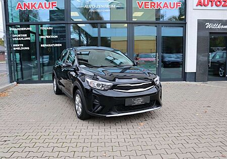 Kia Stonic gebraucht kaufen Kia Stonic Edition 7 CarPlay Klima SHZ 8-fach