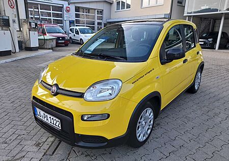 Fiat Panda Pandina Hybrid 1.0 GSE