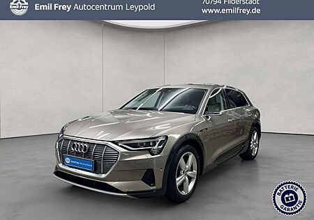 Audi e-tron 55 quattro advanced Leder LED Pano