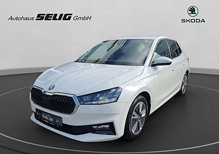 Skoda Fabia Active 1.0 TSI 95 PS,PDC,Rü-Kam.,SH,Klimaa
