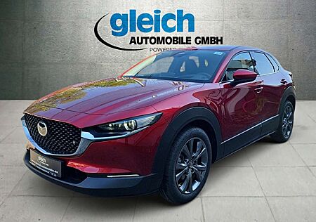 Mazda CX-30 2.0 SKYACTIV-X-M Exclusive-Line ACC PDC