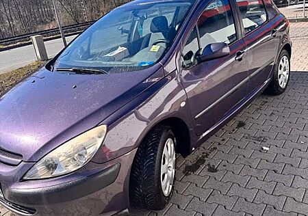 Peugeot 307 1.6L mit LPG, TÜV 8/26, guter Zustand, NR