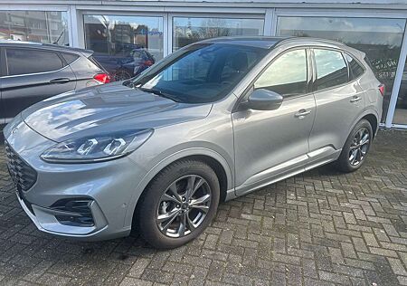 Ford Kuga ST-Line ACC Rfk AHK HuD