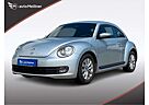 VW Beetle Volkswagen Lim. *erst 7.900Km*1.Hand*TÜV Neu*