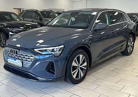 Audi Q8 e-tron 50 quattro*LED*R-Cam*AHK*ACC*DAB*Navi*