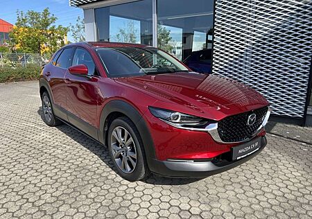 Mazda CX-30 186PS Automatik Benzin Selection Bose Matrix-Licht