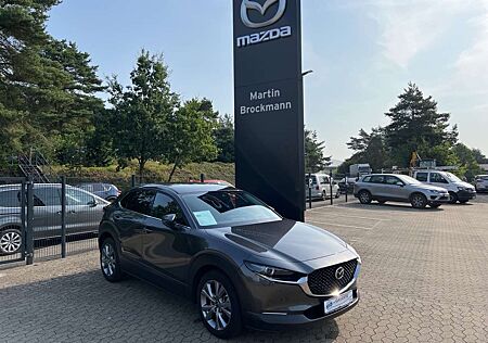 Mazda CX-30 SKYACTIV-G 2.0 150PS 6AG AL-SELECTION A18 DES-P