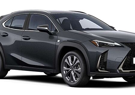 Lexus UX 300h F Sport Design Klima Kamera Sitzhzg