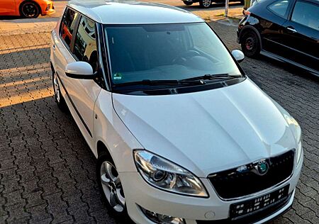 Skoda Fabia Family 1,2l TSi -DSG-Navi -Inspektion Neu!