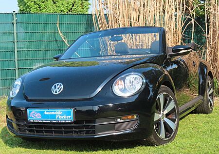 VW Beetle Volkswagen Cabriolet "Schwarz-Top Zustand"
