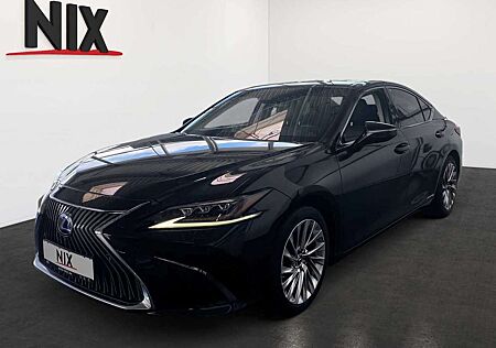 Lexus ES 300 h 2.5 Hybrid Luxury Line LED HUD