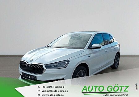 Skoda Fabia Tour AHK-Vorb/Navi über SmartLink/Kamera/LED/Licht