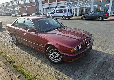 BMW 520i 520 24V Executive