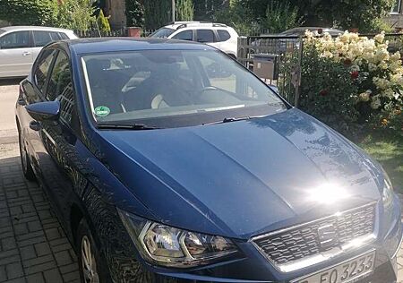 Seat Ibiza Style
