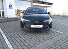 Toyota Corolla 1,2 "Team D" mit Technik-Paket