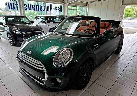 Mini Cooper Cabrio Automatik Sport-Leder-Sitze Sitzhzg PDC