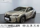 Lexus UX 250h Style Edition *CarPlay*Kamera*Smart-Key*