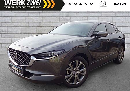Mazda CX-30 G-180 Selection 2WD AHK ACC HUD 360°