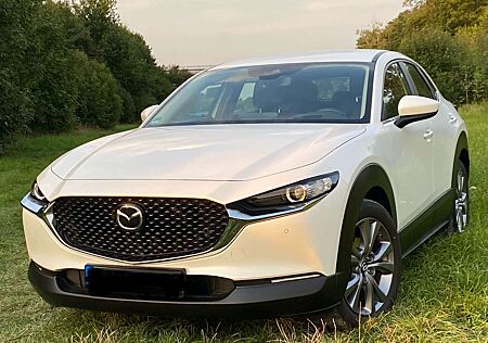 Mazda CX-30 e-SKYAKTIV X SELECTION 186PS Lederausstattung
