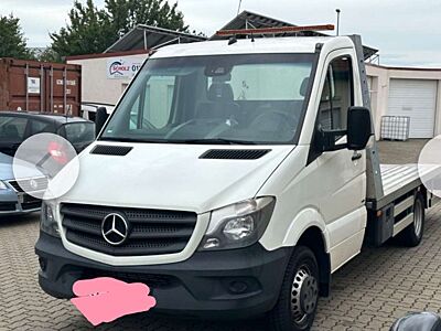 Mercedes-Benz Sprinter 319 CDI (BlueTec) 4x4 906.133 Aut.