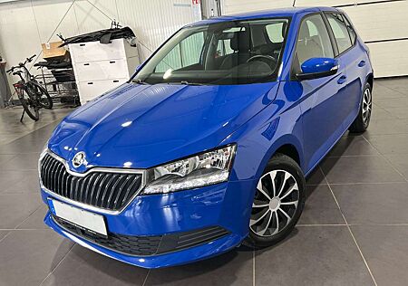 Skoda Fabia 1.0 TSI Automatik *Klima*SHZ*PDC*Temp*BT*