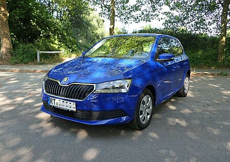 Skoda Fabia 1.0 MPI Cool +, Scheckheftgepflegt, 8-fach bereift