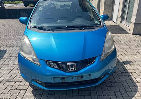 Honda Jazz 1.2 Trend 1.Hand,Alu,Euro4
