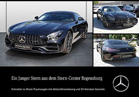 Mercedes-Benz AMG GT NIGHT EDITION+PerfAGA+PerfSITZ+CARBONDACH