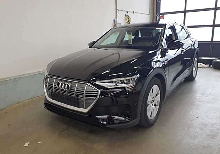 Audi e-tron 50 quattro Panorama LED 1. Hand