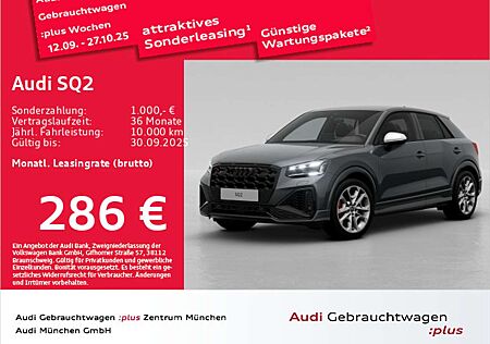 Audi SQ2 TFSI S tronic Matrix/ACC/Navi+/Privacy