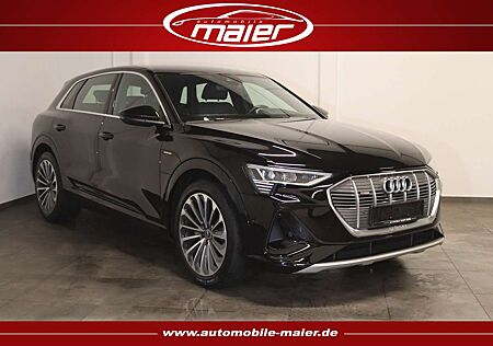Audi e-tron 55 quattro S line Virt-Matrix LED-ACC-CCS