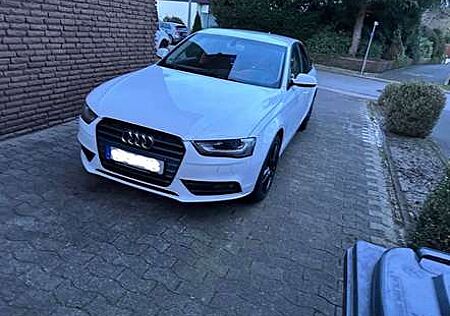 Audi A4 2.0 tdi Business 177cv multitronic