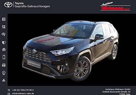 Toyota RAV 4 2.5 Hybrid 4x4 Team D Technik Paket AHK