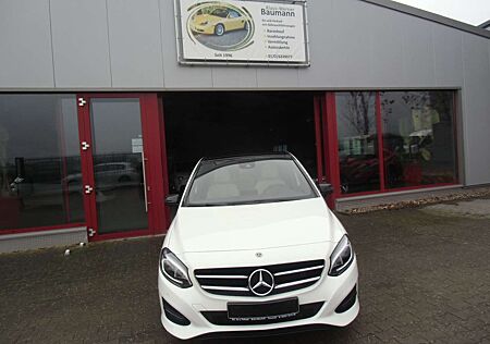 Mercedes-Benz B 250 Kamera, AHK, SD, Navi, Memory, 8 fach bereift