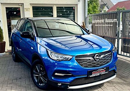 Opel Grandland X Grandland Design Line LED Kamera Shz. Lhz.