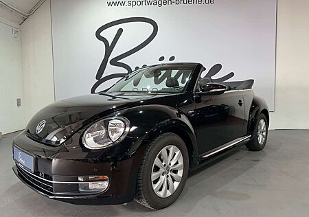 VW Beetle Volkswagen 50 S Design Edition/Leder/Scheckh/Klima