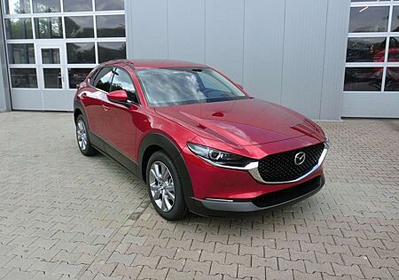 Mazda CX-30 G 2.0 Selection Design-Paket Matrix-LED