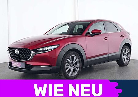 Mazda CX-30 Selection ACC|360°Kamera|HuD|SHZ|Navi|PDC