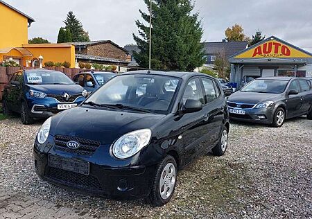 Kia Picanto gebraucht kaufen Kia Picanto 1.1 Cool
